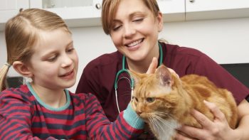 Pet Insurance and Preventive Care